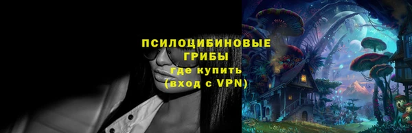 прущая мука Няндома