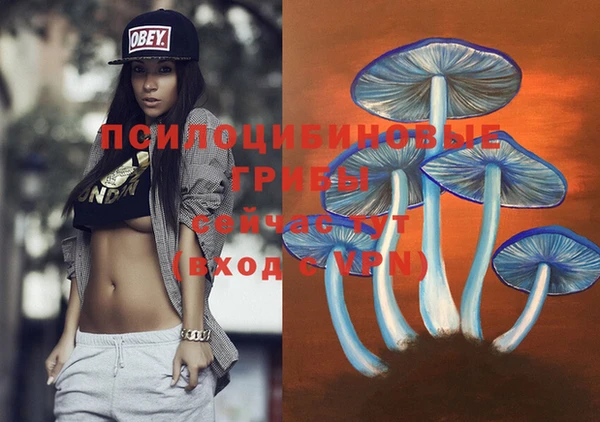 прущая мука Няндома
