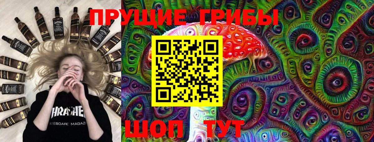 Сальск  Псилоцибиновые грибы ЛСД  Вход с VPN 